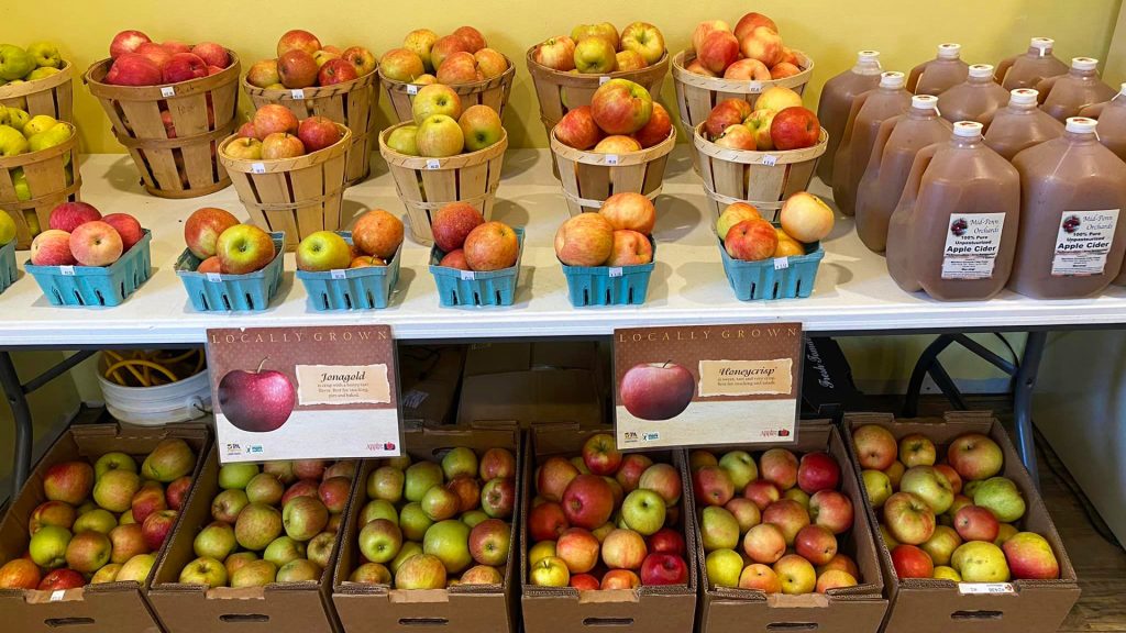 northhill orchard farm market winfield pa apple display
