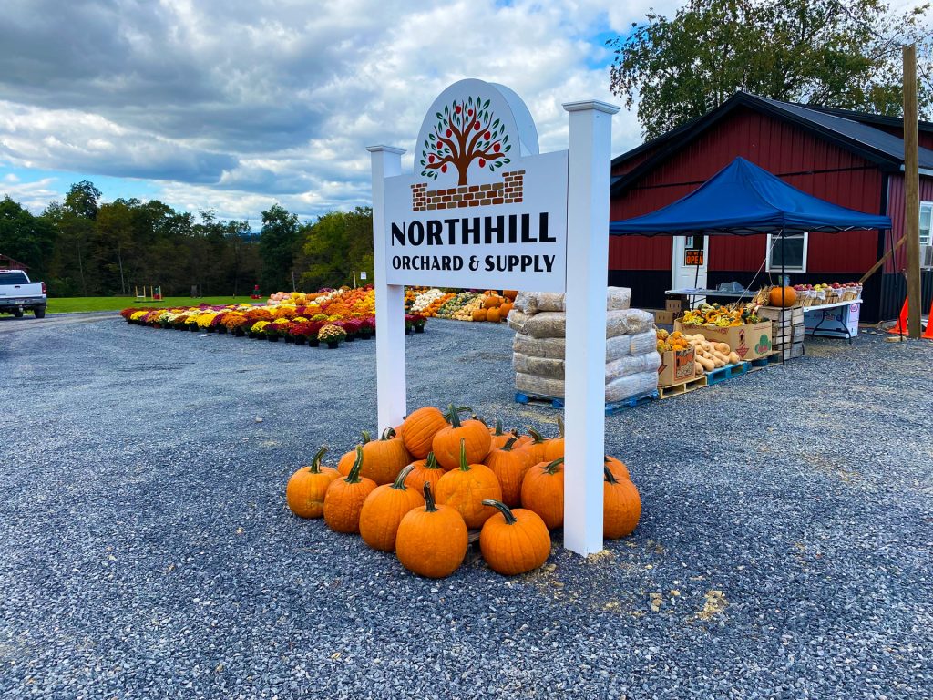 apple picking fall market at northhill orchard 2