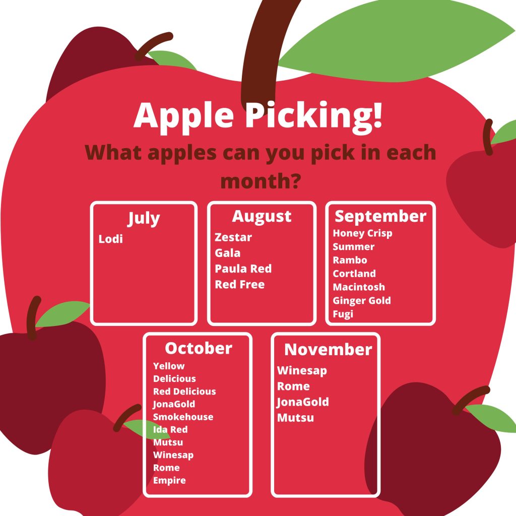 what apples are ripe for apple picking in pa
